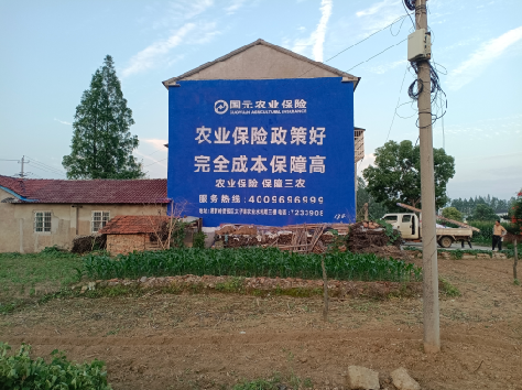 新密墙体广告为何受追捧？